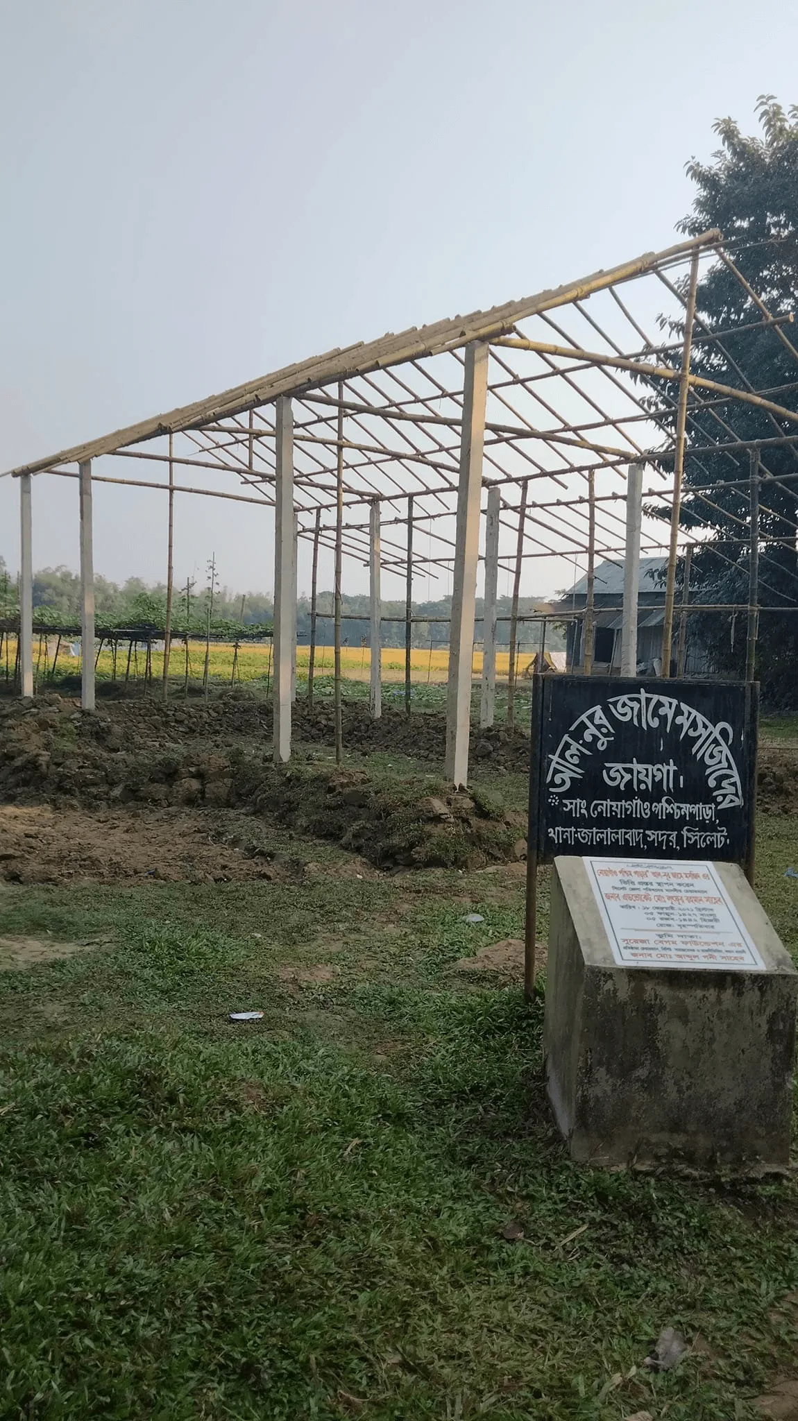 Initial mosque structure progress photo 3